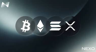Xaif Crypto tweet media
