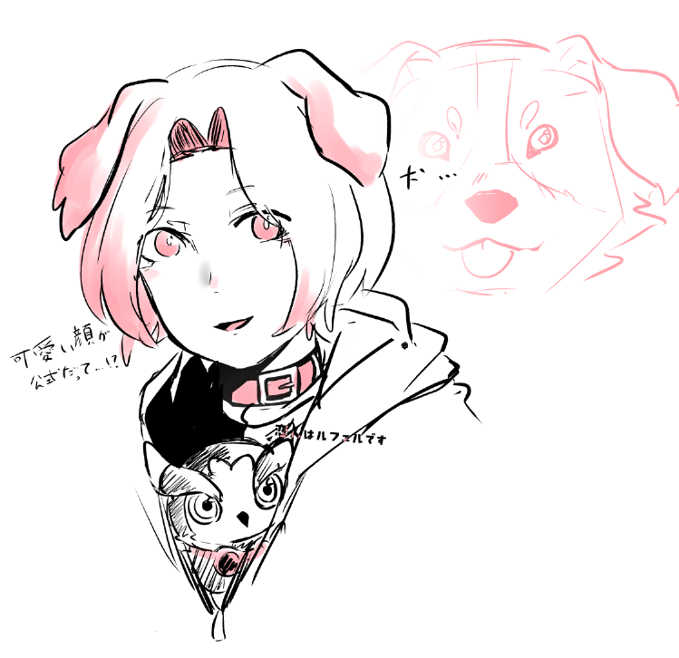 犬 tweet media