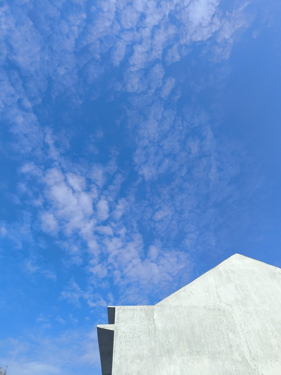 Sandhy ⛩️ tweet media