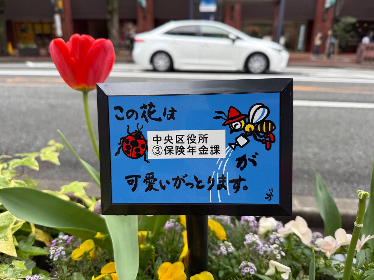 Y氏は暇人 tweet media