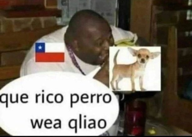 Josesinho tweet media