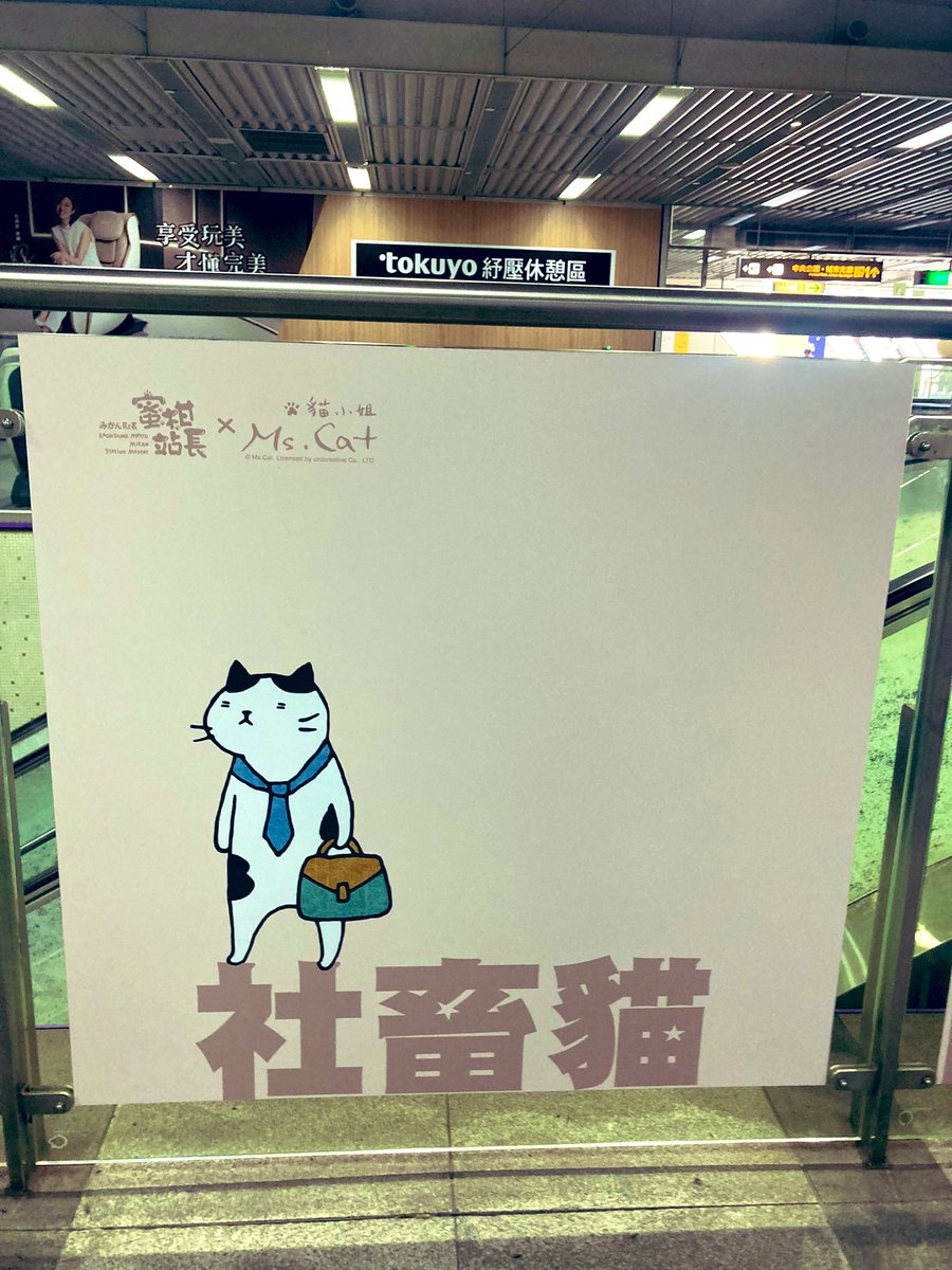 梢（こずえ） tweet media