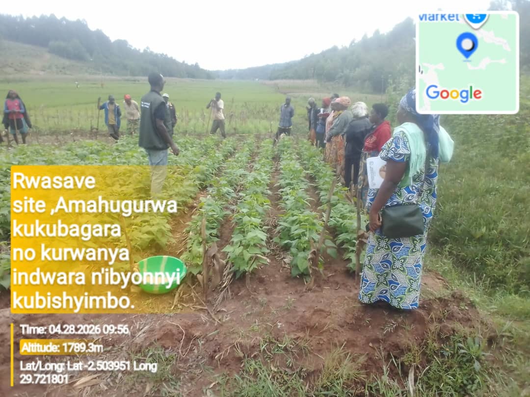 KWIGIRA 3600 FOUNDATION (K3600F) tweet media