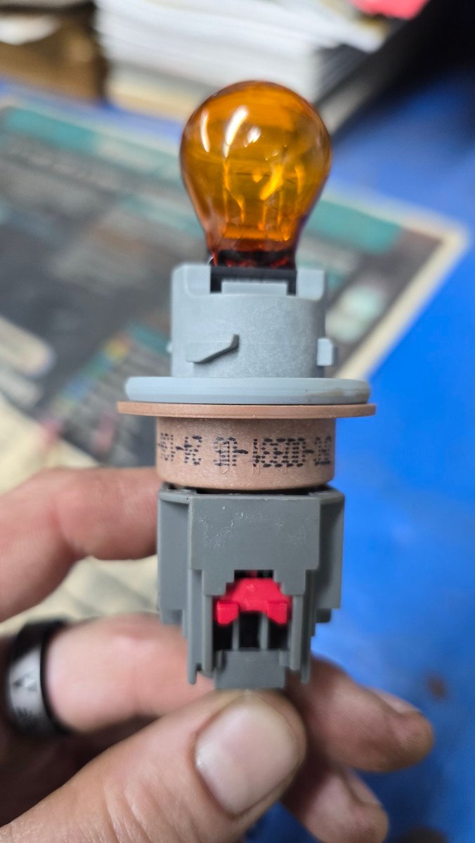 Joseph Carpenter 🇺🇸 tweet media