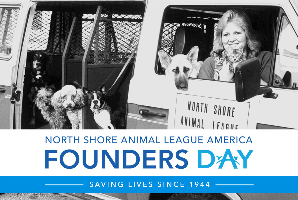 Since 1944, a simple but powerful belief has guided everything we do: every animal deserves a home. 💛

For more than 82 years, North Shore Animal League America has been rescuing, nurturing, and protecting animals in need-providing second chances and helping over 1.2 million