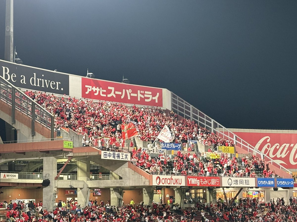 カープねこ tweet media
