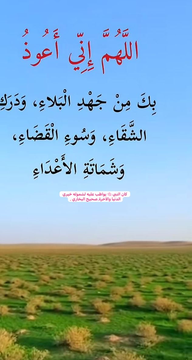 صالح الراشد العنقري🌹 tweet media