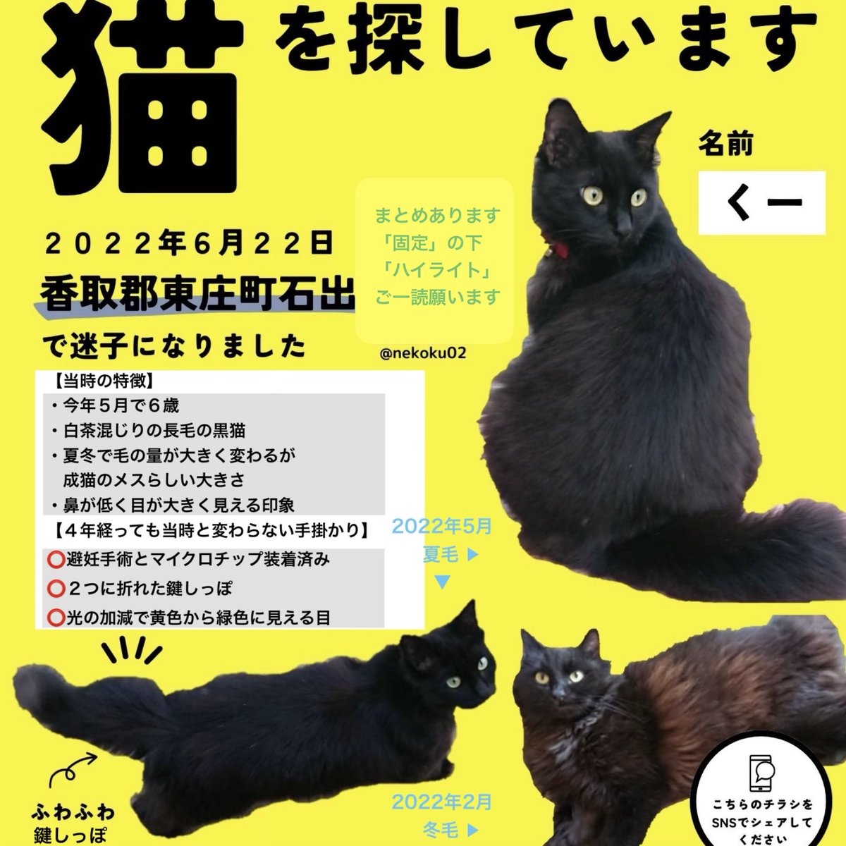 ハルル　迷子動物＆保護動物用アカウント tweet media