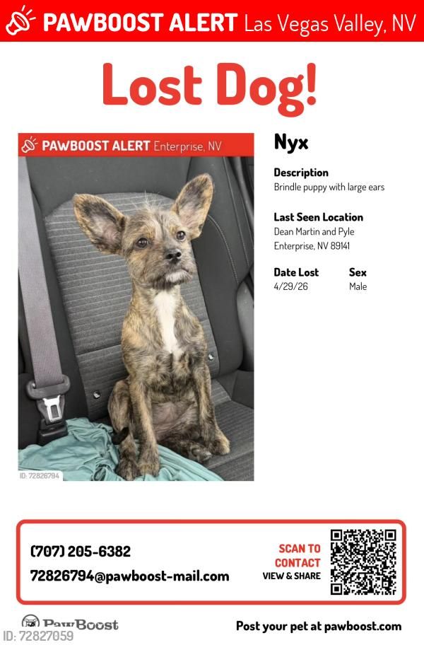 Nyx ran off after a car accident
4/29/26
#Enterprise #Nevada
On Dean Martin Drive near Exit 30 / Cactus Ave
Female
Terrier Mix
Brown Brindle/White accents
6 Months Old
10 Lbs
Large Ears
Please contact (707)205-6382 w any sightings
buff.ly/0GmJfHE #ClarkCounty #NV #Lostdog