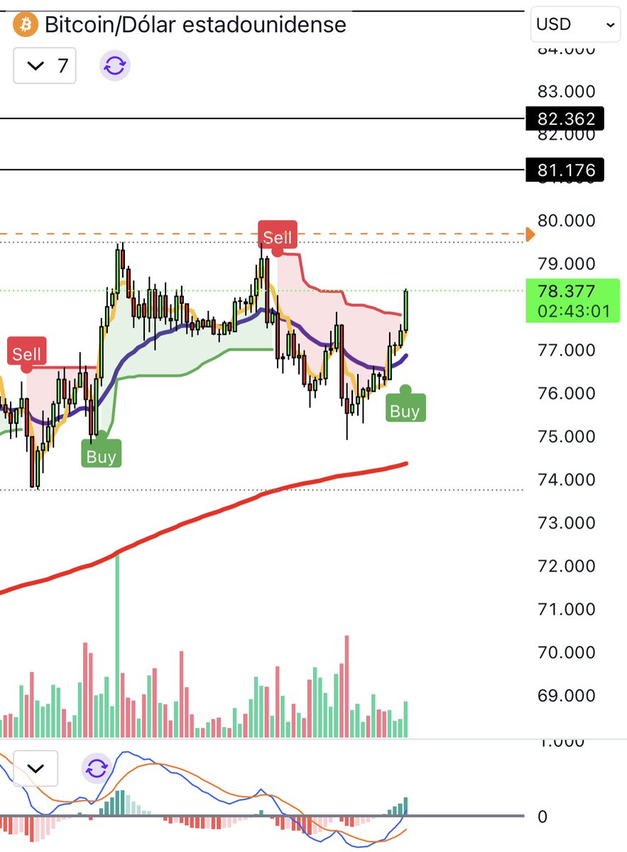 Lady Market tweet media