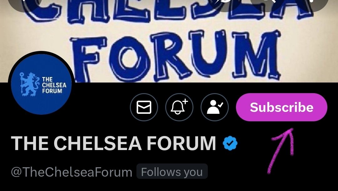 THE CHELSEA FORUM tweet media