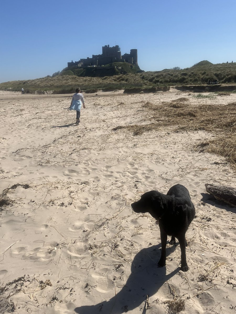 srbtennis13's tweet image. Always fascinated by Bamburgh Castle.#Northumberland