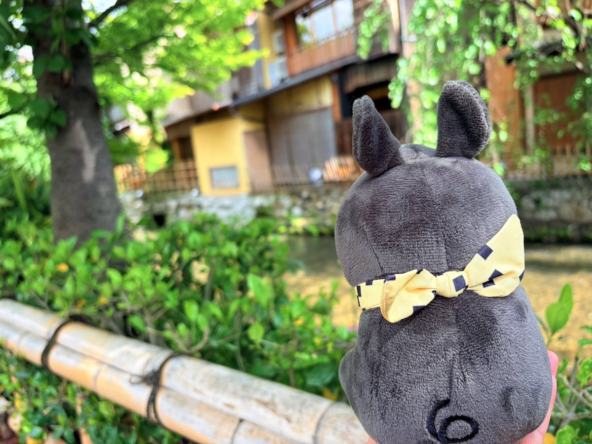 あるパカ🌻 tweet media
