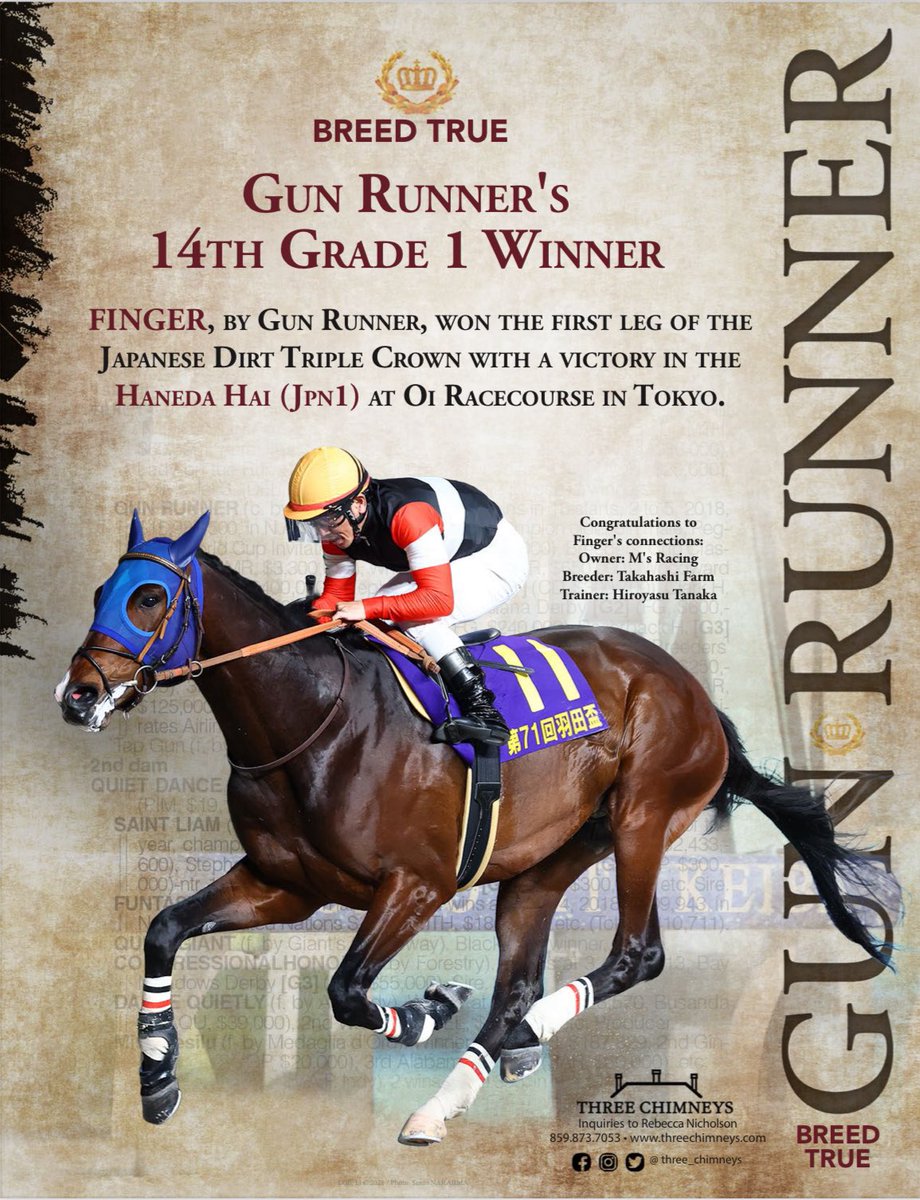 TDN tweet media