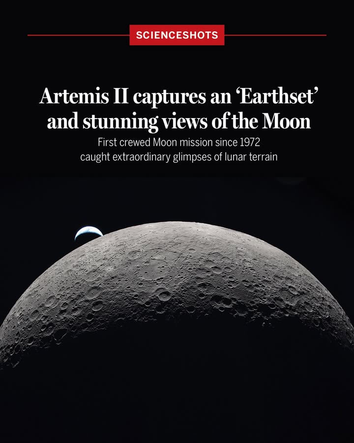 News from Science tweet media