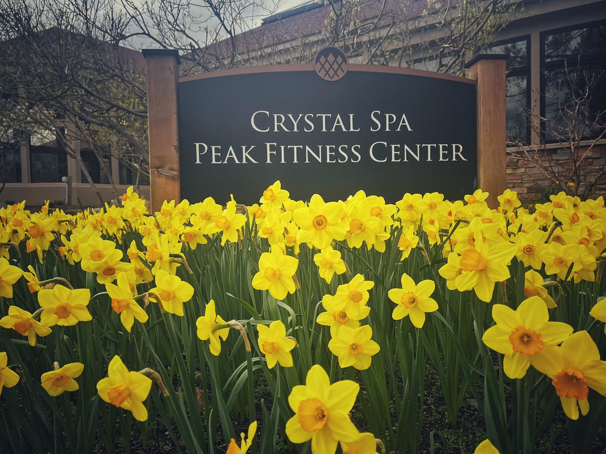Crystal Mountain tweet media