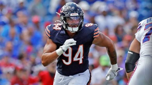CAPTAIN CEEBEE 🏴‍☠️🐻⬇️ tweet media