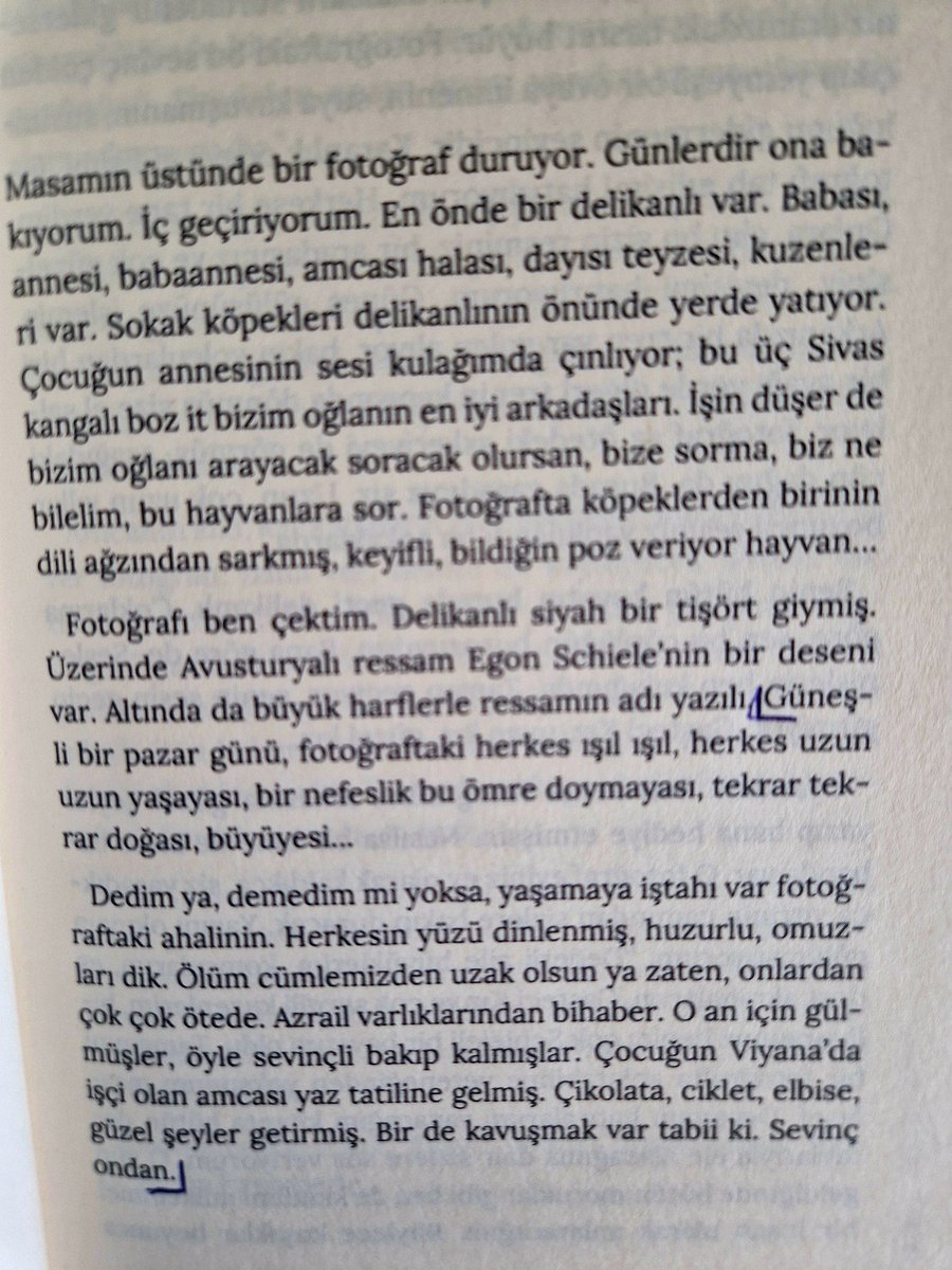 evrim yıldırım🦚 tweet media