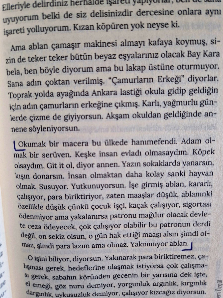 evrim yıldırım🦚 tweet media