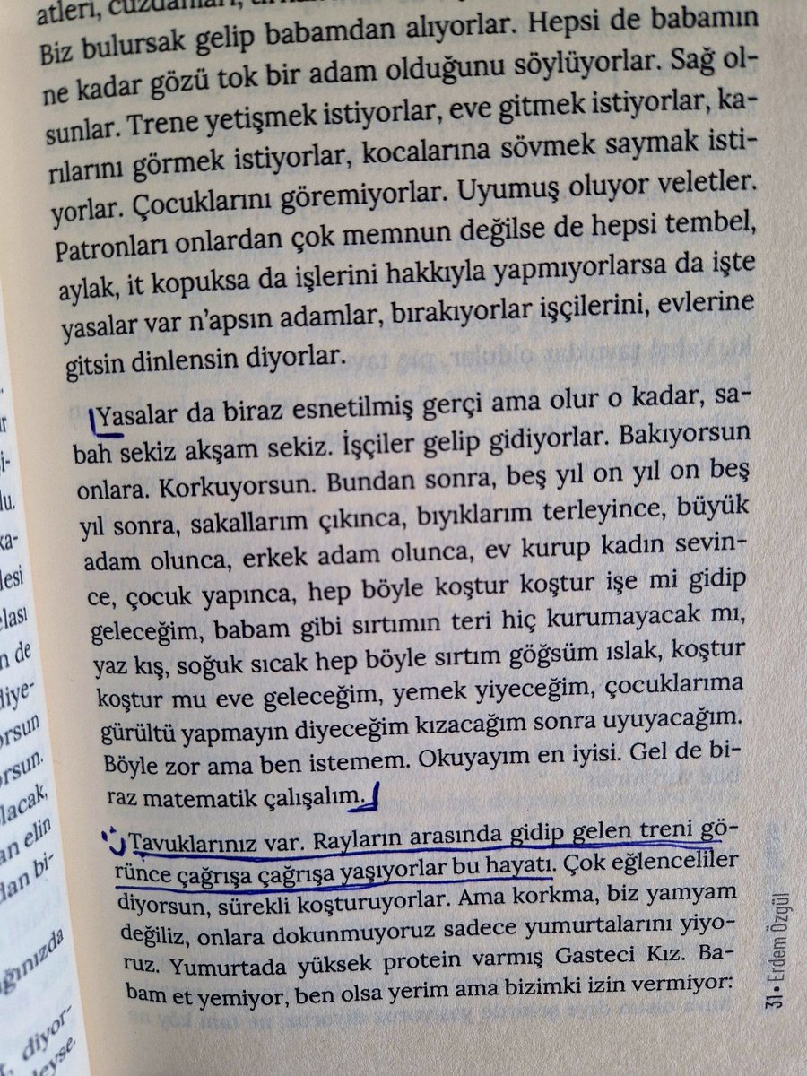 evrim yıldırım🦚 tweet media