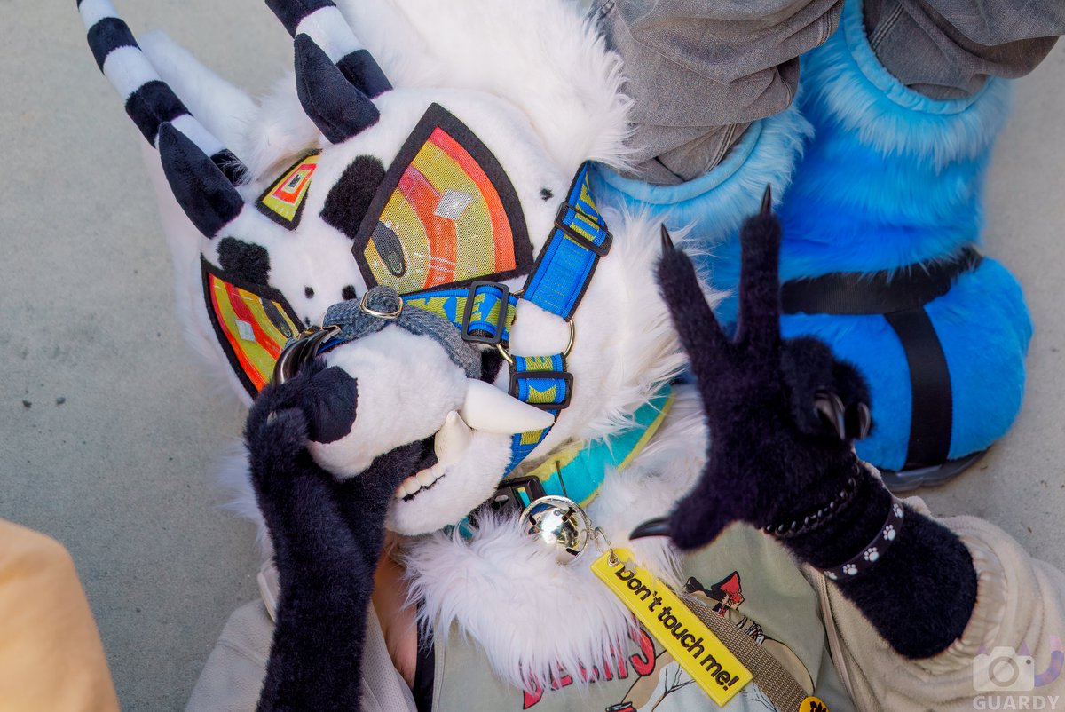 Shinybalista's tweet photo. @Moumoonzy @Guard_Mutt @0wxel I SECOND THIS!!! He also made both of my suits , amazing quality , so much communication, the suits are so comfortable and light!! Also the vision is amazing :DDDD pls go check him out !! https://t.co/pmXOb3MgIc
