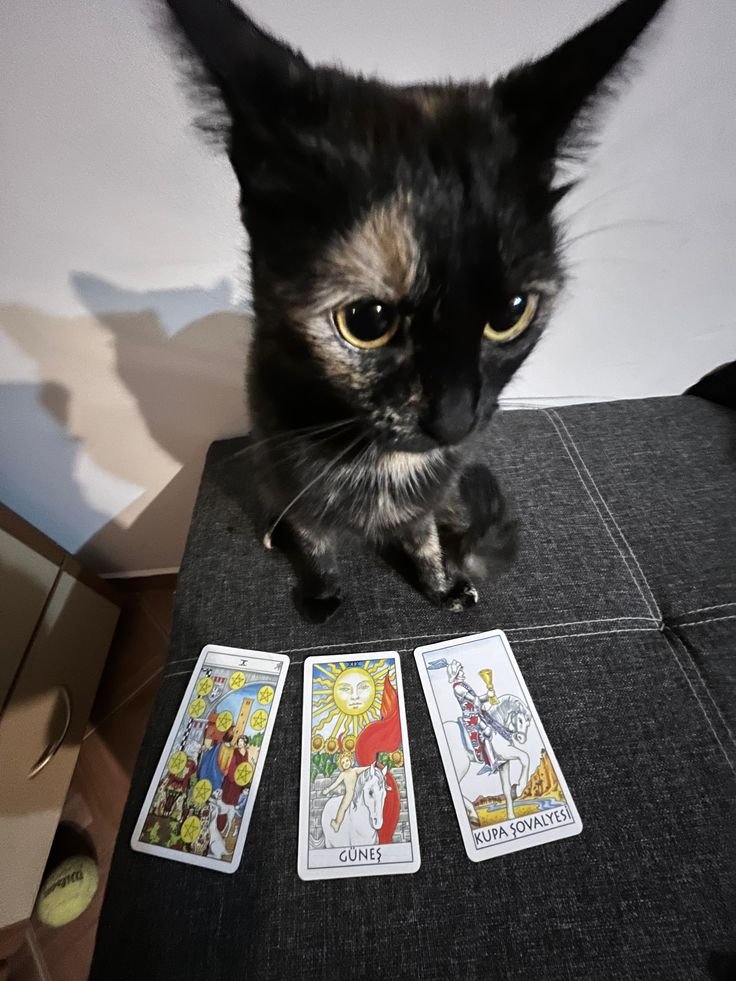 Millie ॐ Cartomante tweet media