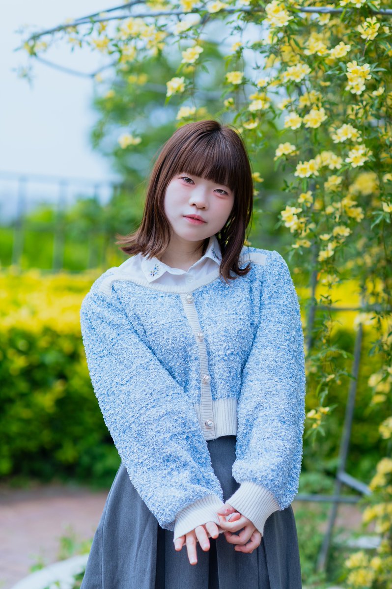 🪄白玉アオミドロ💛 tweet media