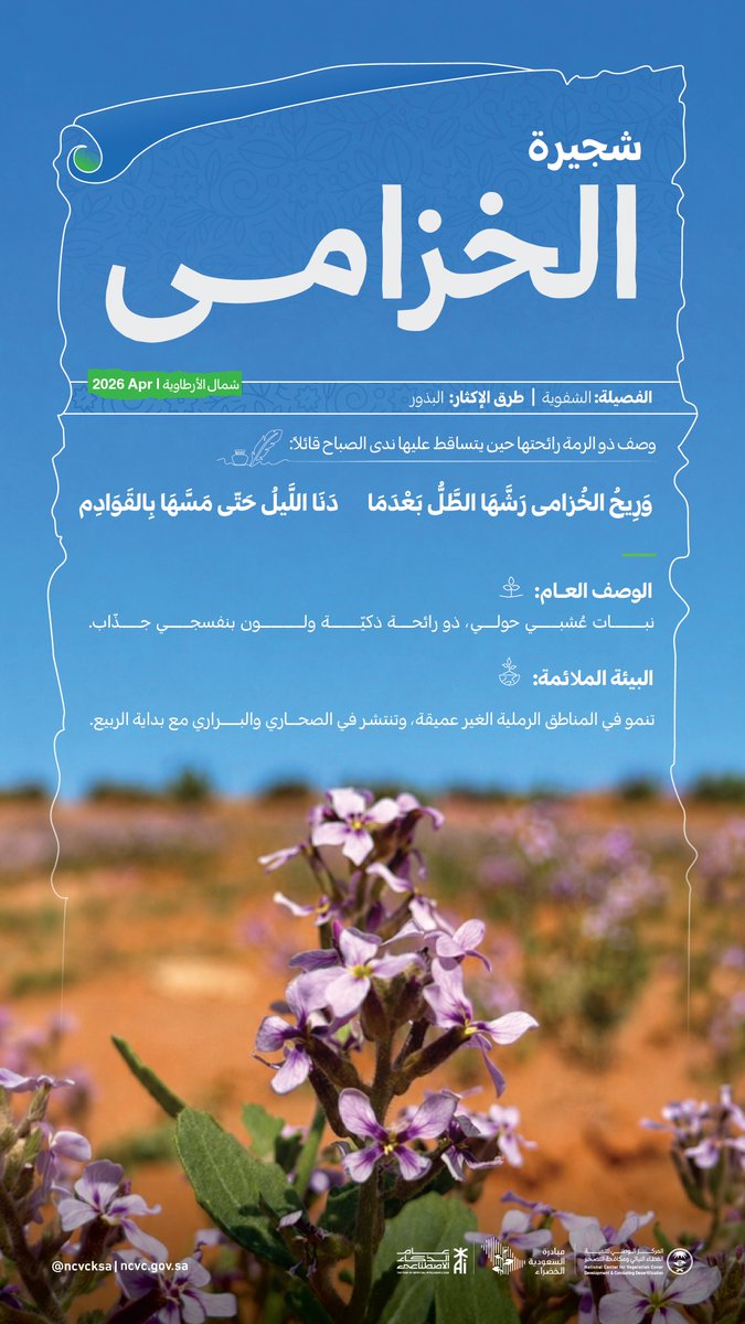 المركز الوطني لتنمية الغطاء النباتي ومكافحة التصحر tweet media