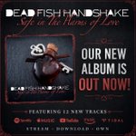 Photo by Dead Fish Handshake (@DFHofficial)