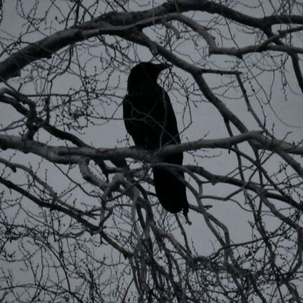 Dark. tweet media