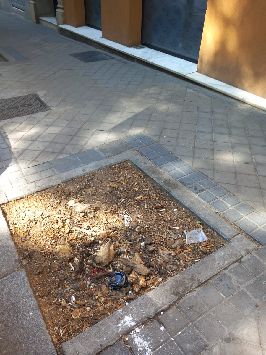 ElOrganillo's tweet photo. Faltan 2 alcorques de Fernández de la Hoz 33,🌳🏢
#Chamberi #medioambiente https://t.co/gMk4RaC0wd