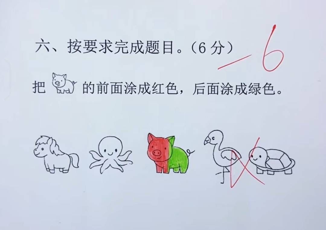 禿道道🐟 tweet media