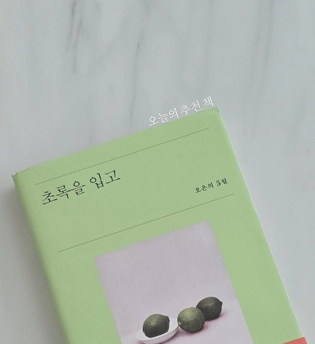 murrmur1's tweet photo. #THE_BEDTIME_RECORD

5월의 첫날🍏

이달의 책 : 오은- 초록을 입고
이달의 차 : 루피시아 - 사쿠라 https://t.co/yAGrUiadM5