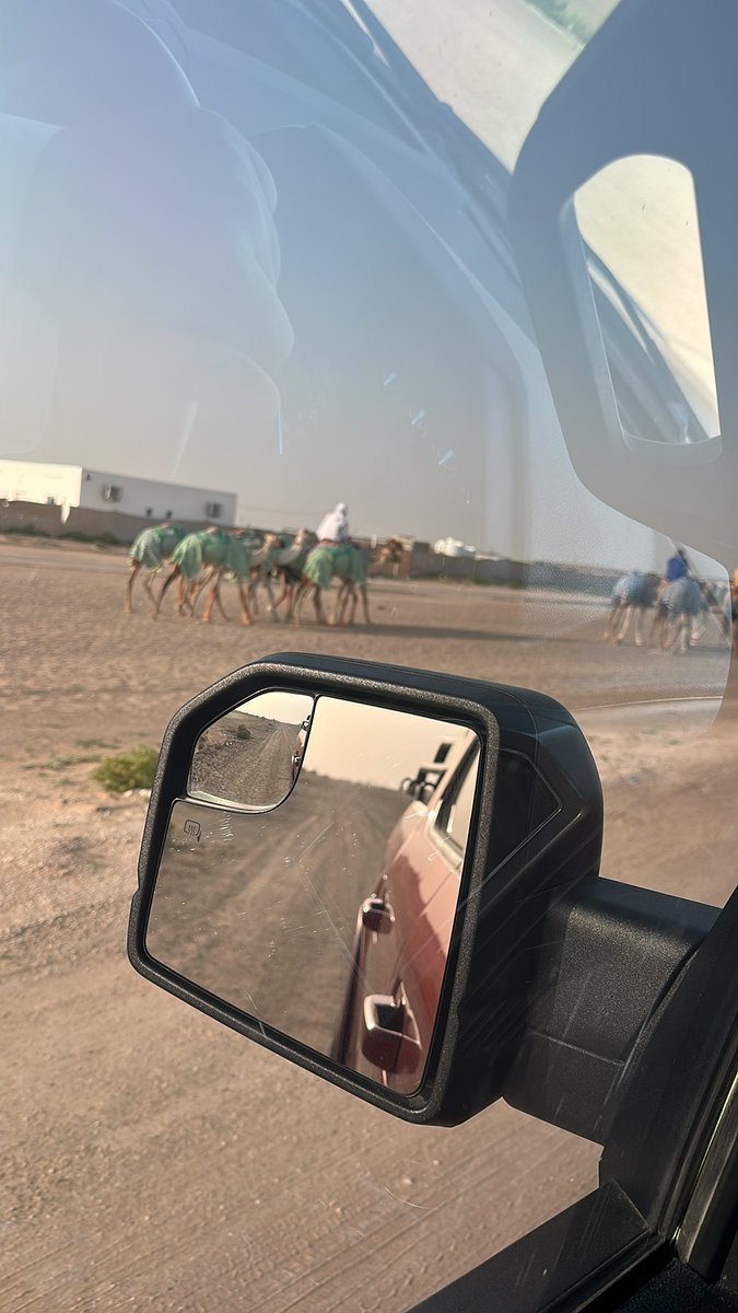 الهاملي tweet media