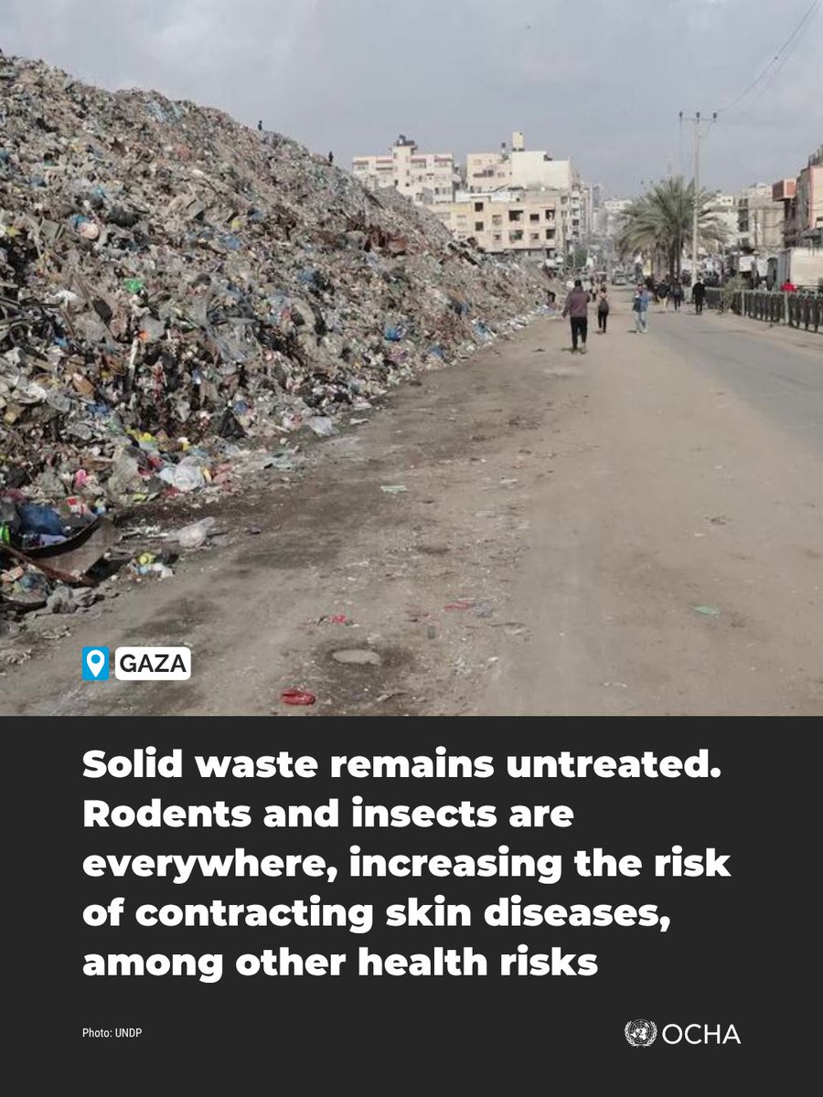 UNOCHA's tweet image. Harsh living conditions in #Gaza are increasing risks for displaced families.

Families are sheltering in overcrowded tents and heavily damaged buildings – with limited access to clean water or sanitation.

Read more: bit.ly/4taxgVV
