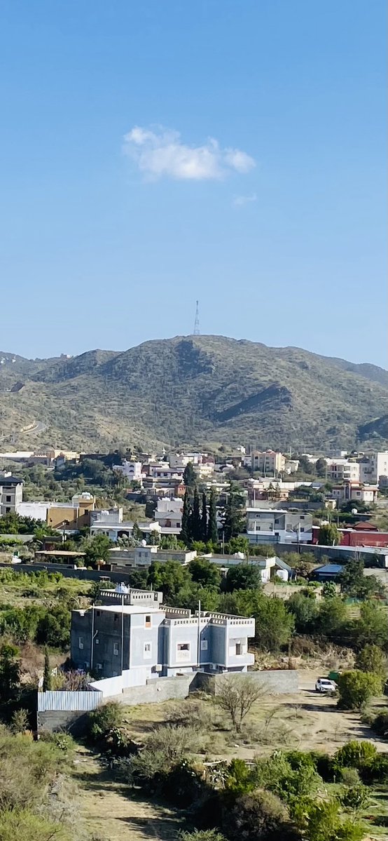 معجب الزهراني tweet media