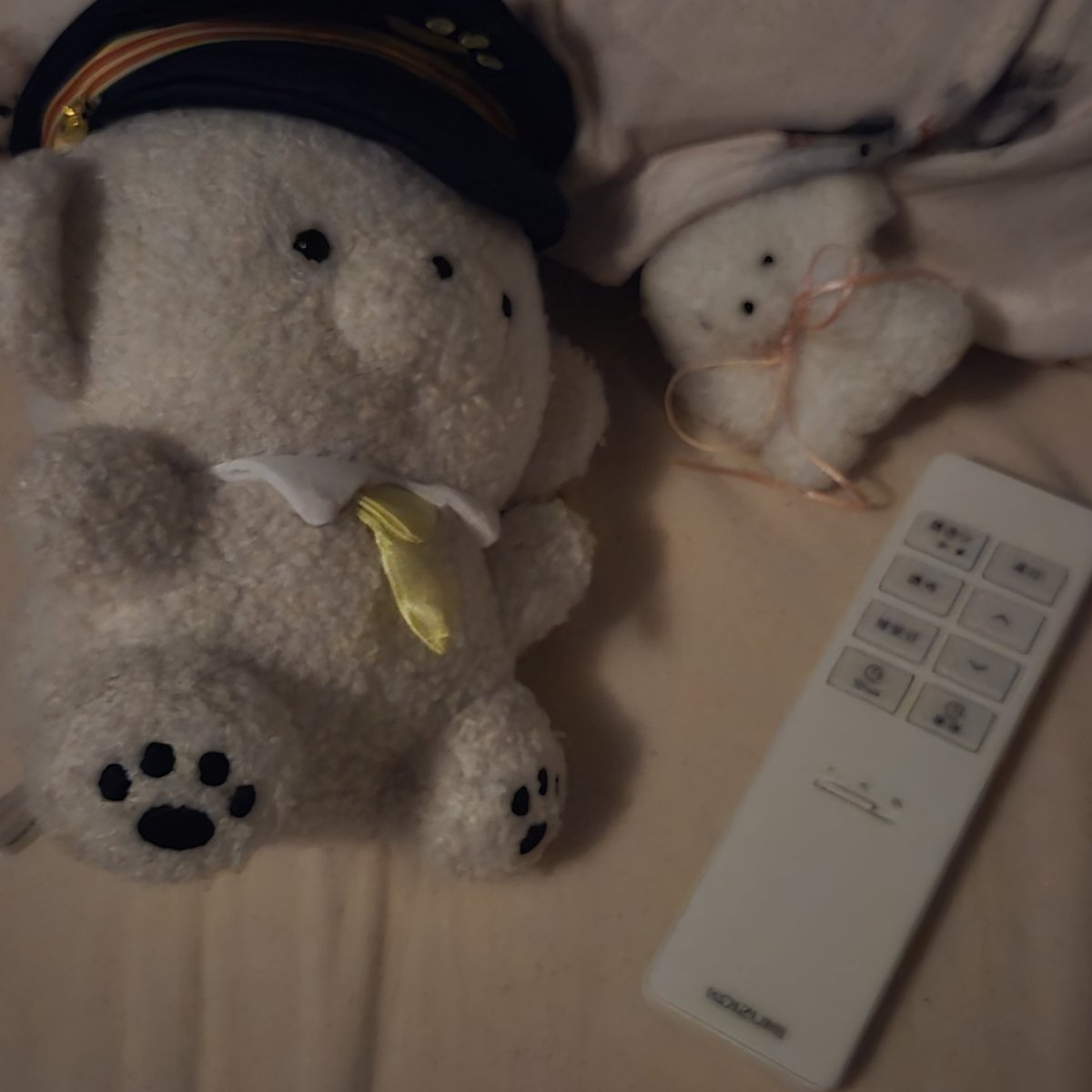 ☁もくもく　もっくん☁ tweet media