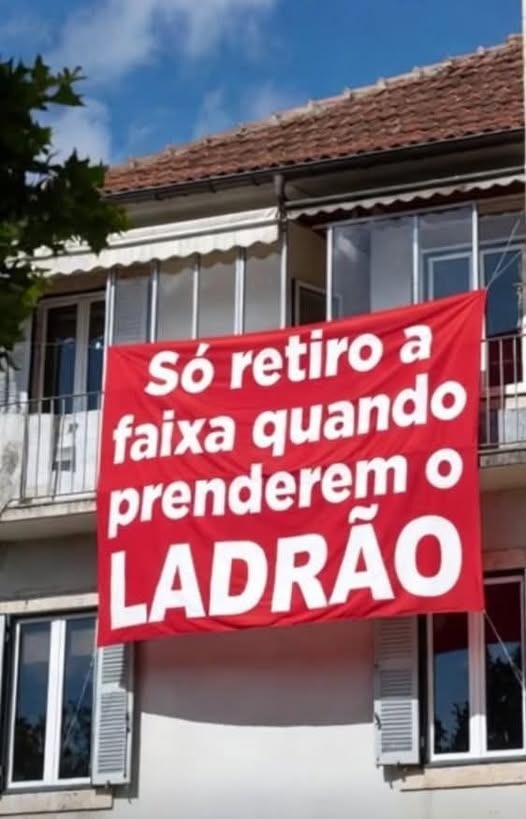Regina Almeida 🇧🇷🇵🇹🇦🇷🇺🇸 tweet media