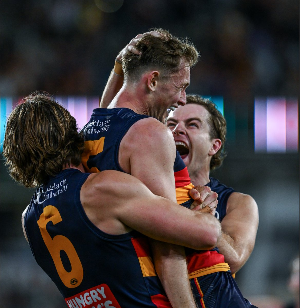 Crows Daily tweet media