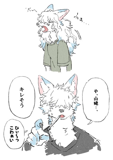#シャーク・ミーツ・ガール
寝癖は結構ひどい方🐺 