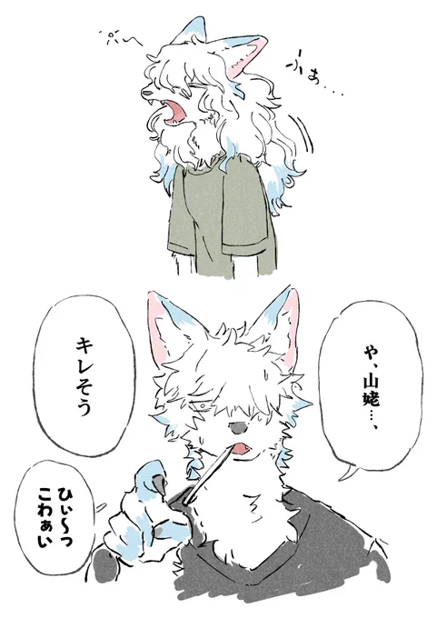 #シャーク・ミーツ・ガール
寝癖は結構ひどい方🐺 