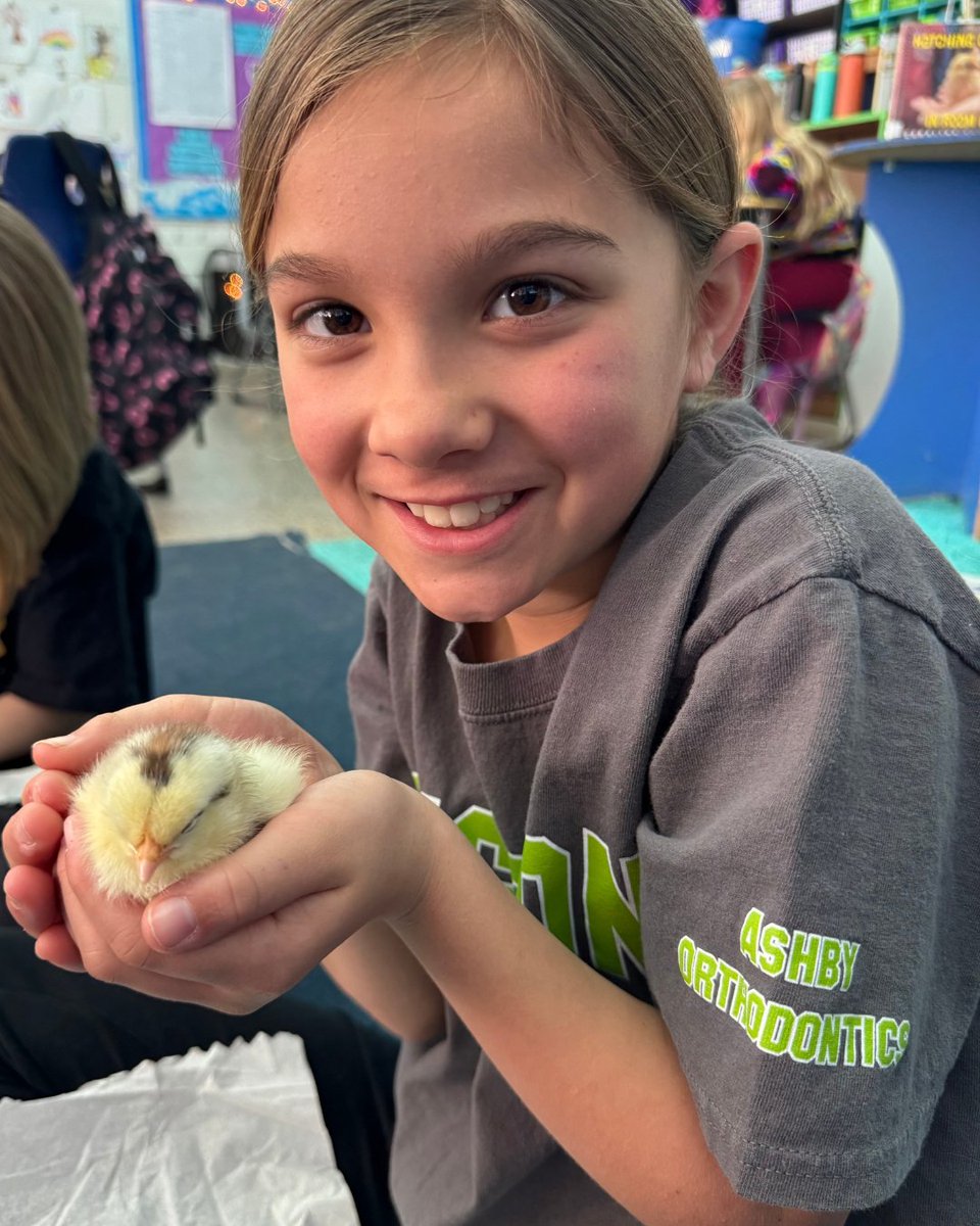 vbschools's tweet image. .@kingston_vb 3rd graders had a fun learning experience as they hatched chicks in the classroom! 🐣

Students then partnered with Leaping Lizard Cafe, who welcomed the chicks to their new home at their restaurant and farmer's market.

The class even had the chance to visit and