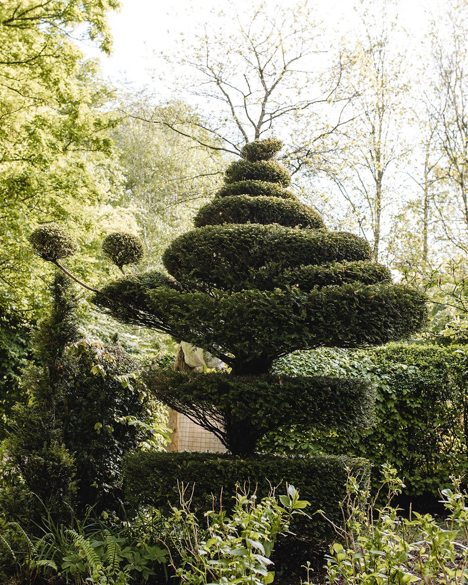 Highgrove Gardens tweet media