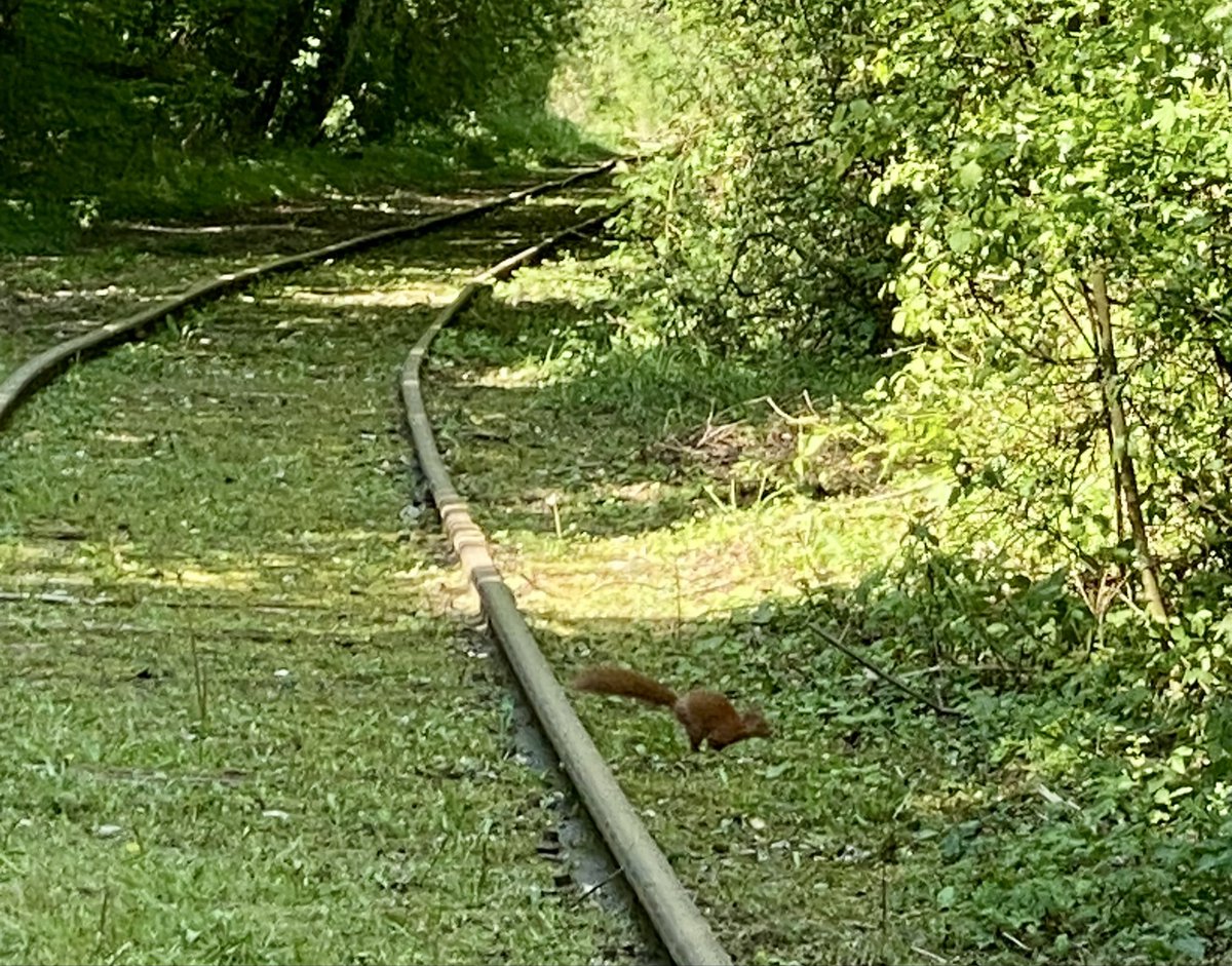 AYADPatrick's tweet photo. C’est également profiter du paysage, et des nombreuses œuvres d’art qui jalonnent le parcours çà et là.

Activité de pleine nature, elle permet de prendre le temps d’observer, d’écouter, et avec de la chance on peut même voir des plantes et des animaux… https://t.co/OH2DOO3AMX
