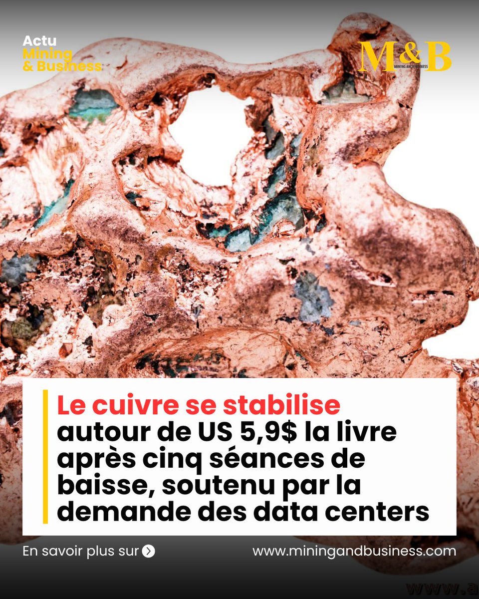 Mining&Business Mag tweet media