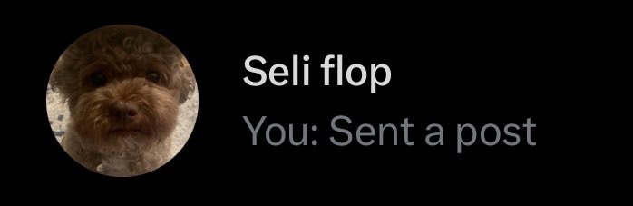 seli 𖣂 tweet media