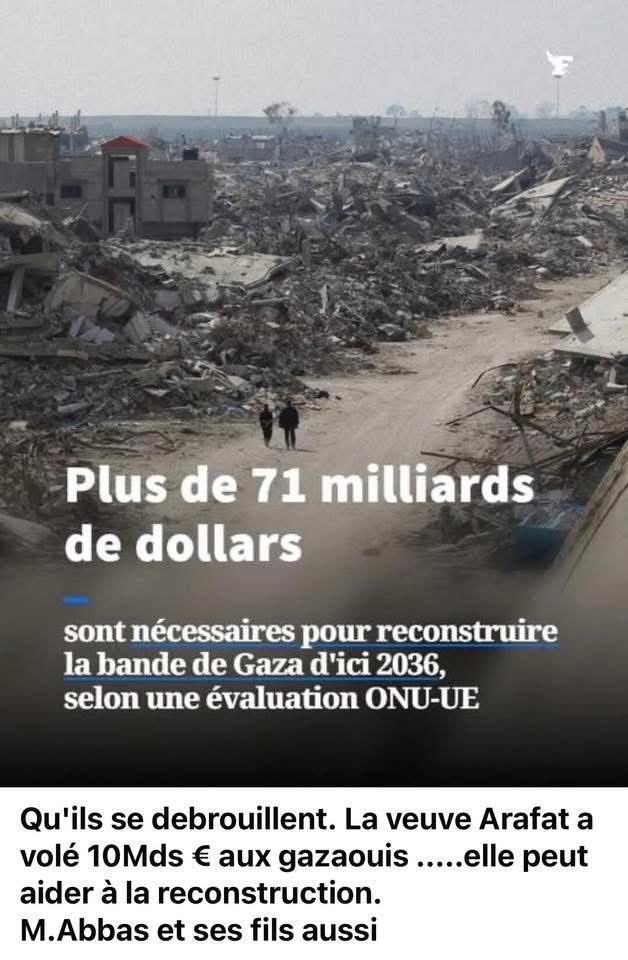 Israïfa Israïfa tweet media