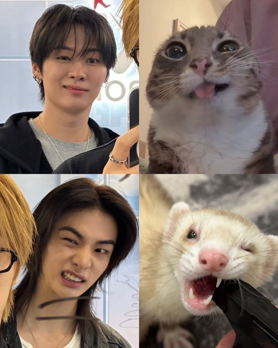 lara IS YOUR FAV HYUNHOER ⤮ fan acc tweet media