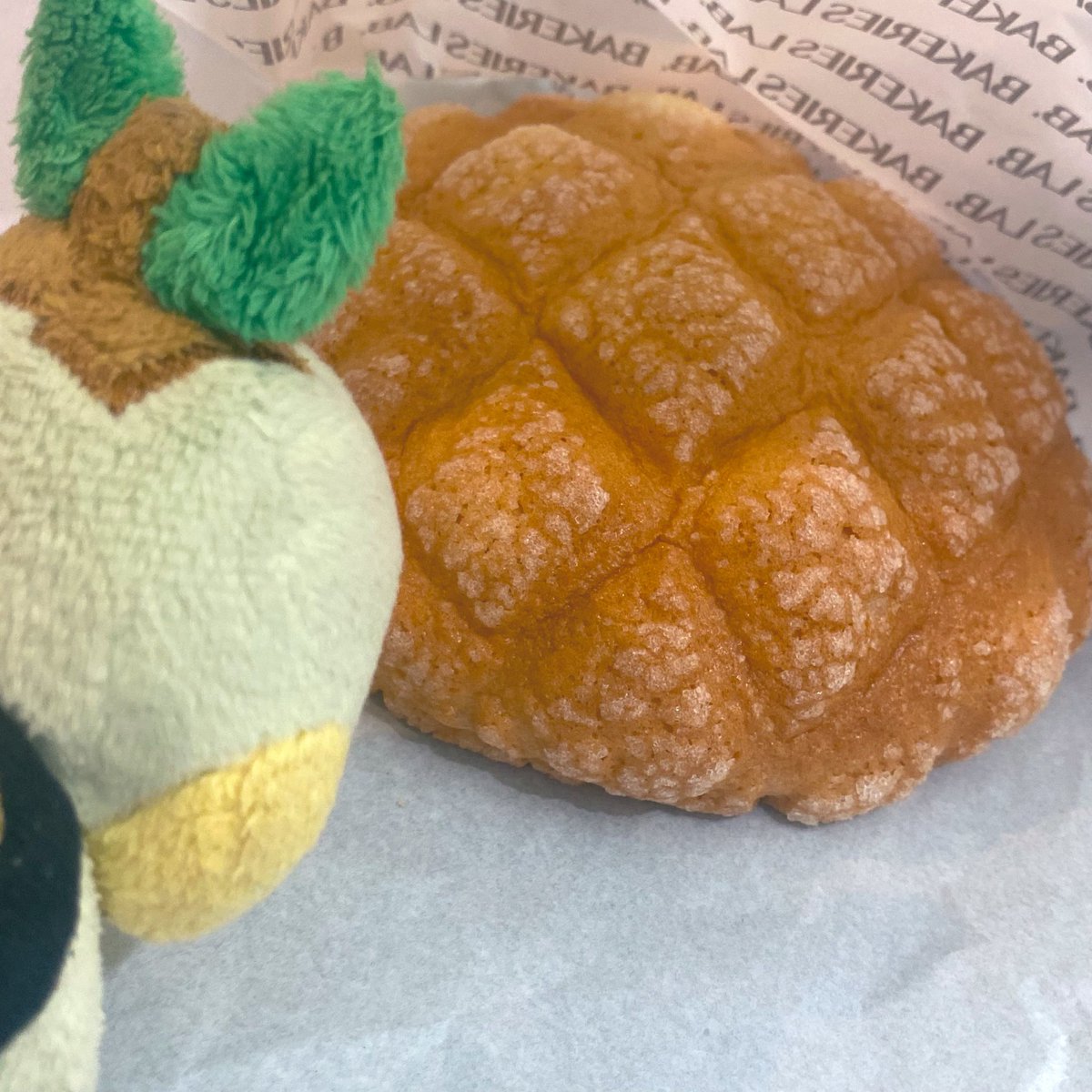 ちっちゃいナエトル tweet media