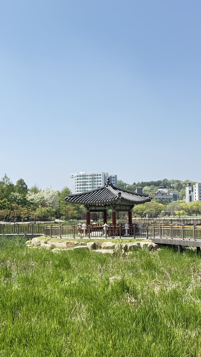 형스터 tweet media